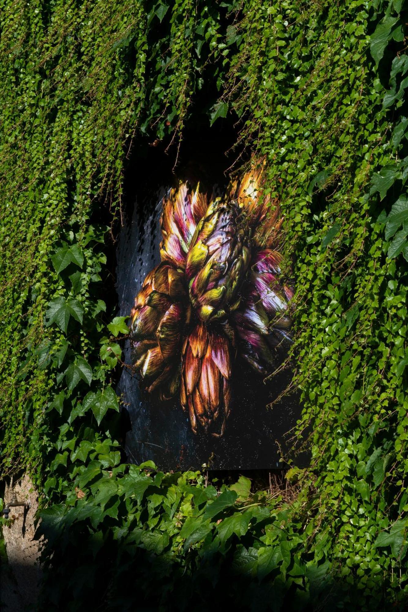 Locanda Ca Dei Santi Induno Olona Extérieur photo